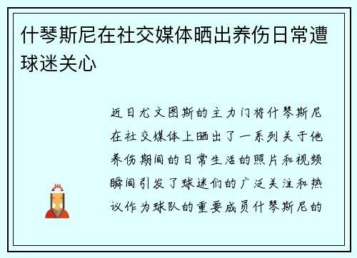 什琴斯尼在社交媒体晒出养伤日常遭球迷关心